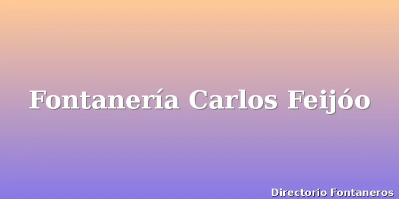 Fontanería Carlos Feijóo