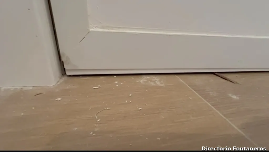 Servicios Generales LDS A. García, S.L.