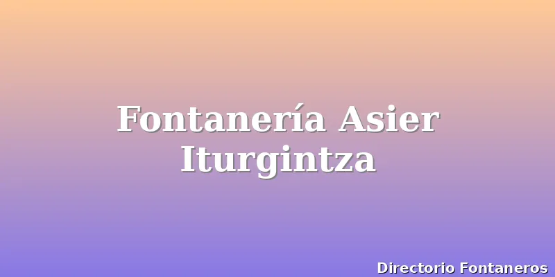 Fontanería Asier Iturgintza
