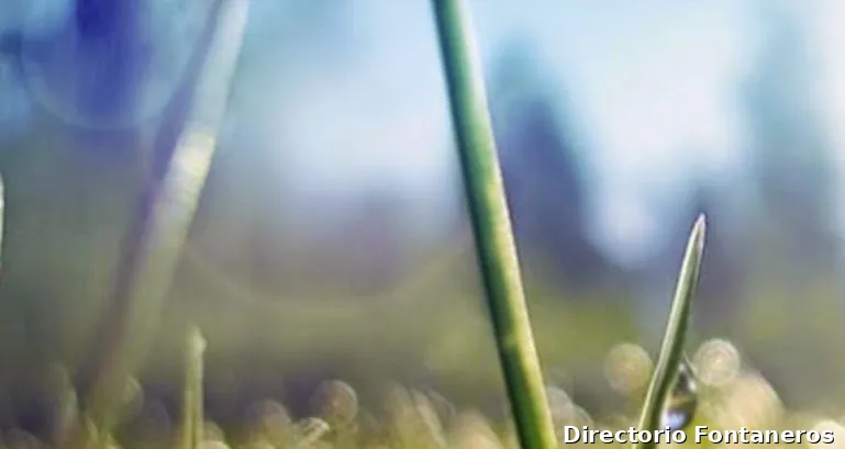 Miguel Corredor S.L.