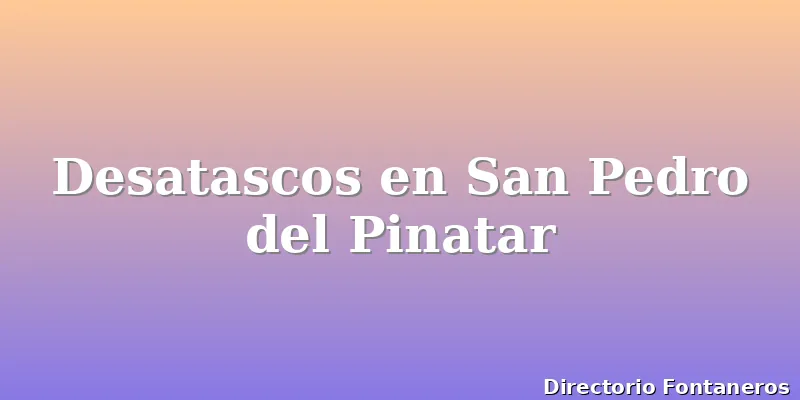 Desatascos en San Pedro del Pinatar