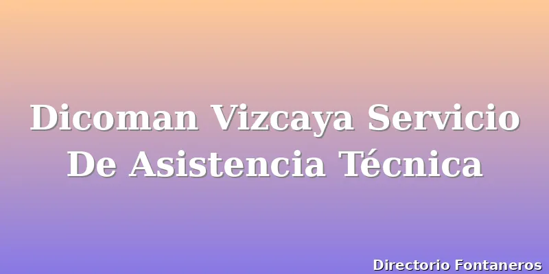 Dicoman Vizcaya Servicio De Asistencia Técnica