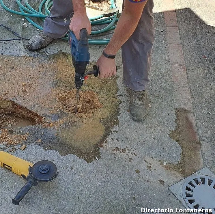 Desatascos MULTISUR 24H