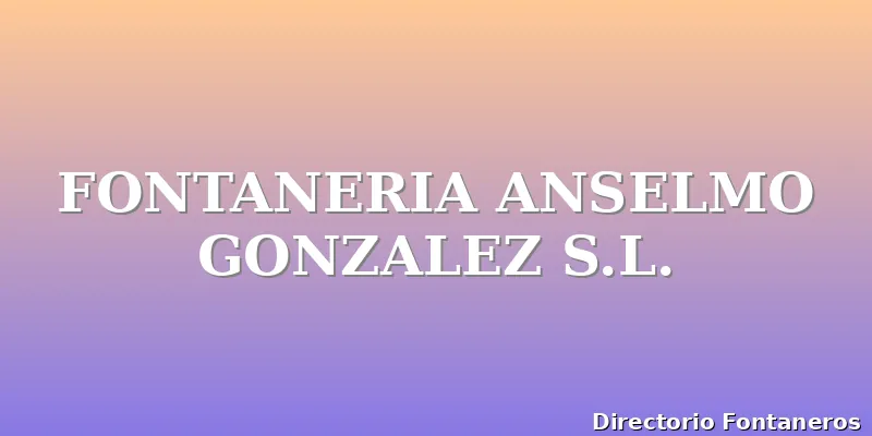 FONTANERIA ANSELMO GONZALEZ S.L.