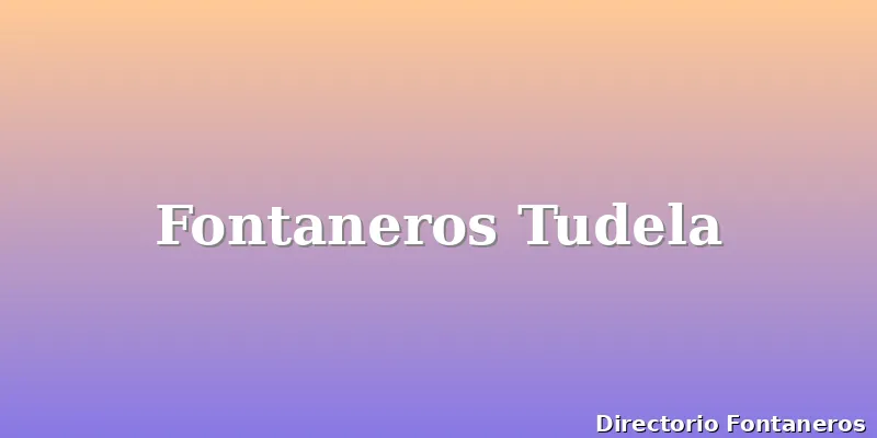 Fontaneros Tudela