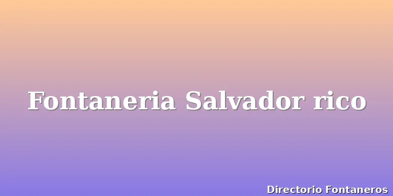 Fontaneria Salvador rico