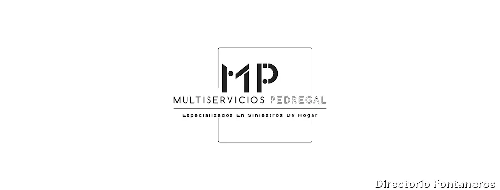 Multiservicios Pedregal SL