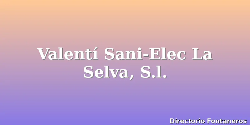 Valentí Sani-Elec La Selva, S.l.